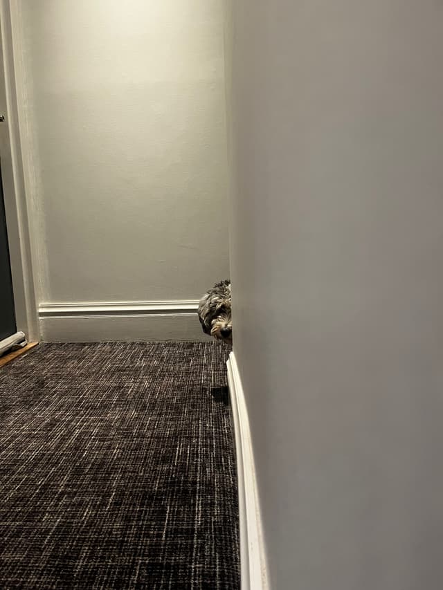 keyword_16 /_next/static/media/bday17.f3574685.jpeg