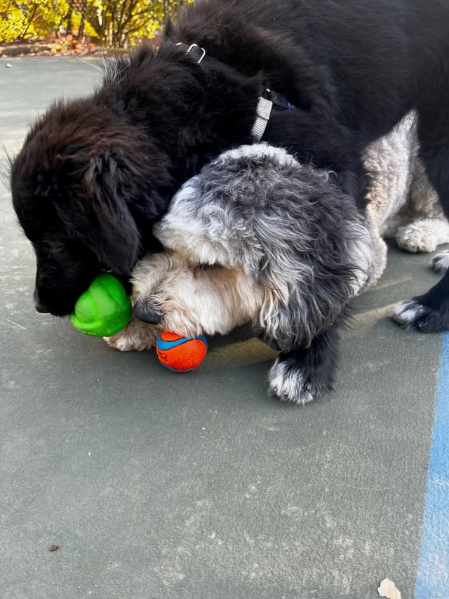 keyword_2 /_next/static/media/bday3.62232a92.jpeg