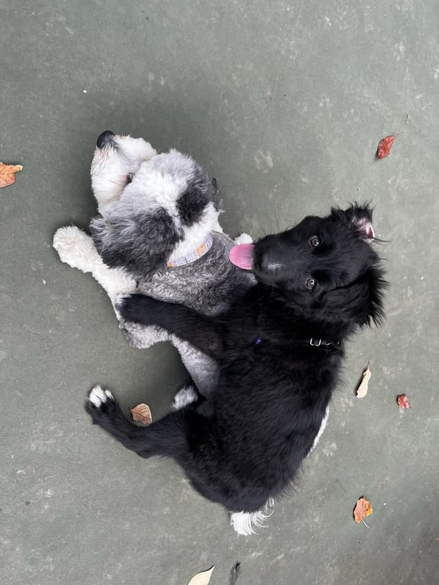 keyword_3 /_next/static/media/bday4.fcde74fa.jpeg